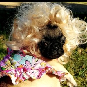 Dolly Pugton - Bargain Hunter